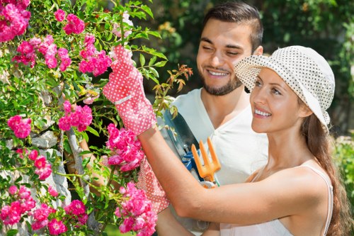 Beautifully trimmed hedges in a Hounslow garden